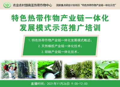 農墾公益大講堂：特色熱帶作物產業(yè)鏈一體化發(fā)展模式示范推廣線上培訓